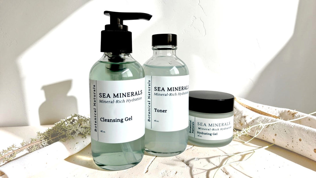 The Benefits of Sea Moss for Your Skin