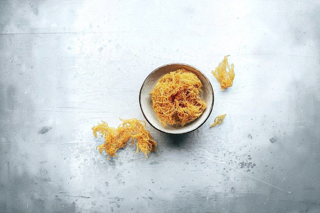 The Benefits of Sea Moss for Your Skin