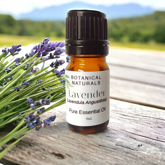 Lavender Essential Oil Population
