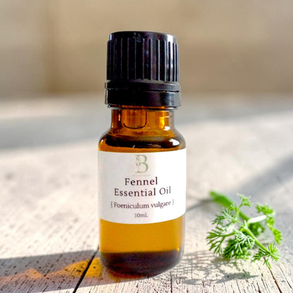 Fennel Essential Oil (Foeniculum vulgare)