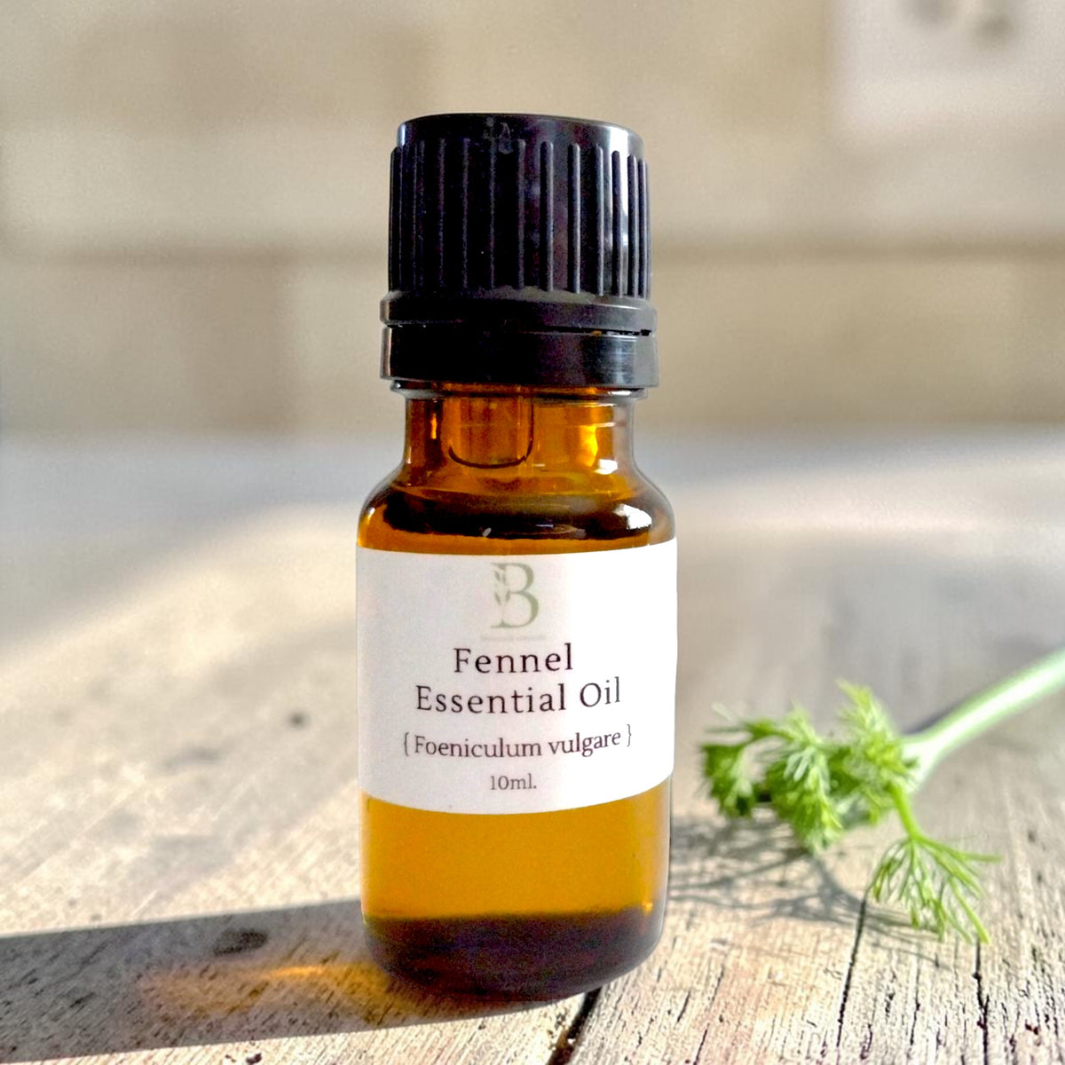 Fennel Essential Oil (Foeniculum vulgare)
